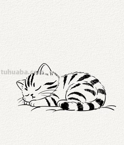 治愈系猫咪入梦丨涂鸦简笔画分享 - 图画吧TUHUABA