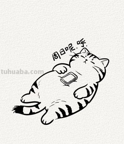 周日小猫困乎乎 打个盹儿休息一下丨涂鸦简笔画分享 - 今日头条