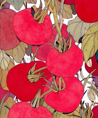 独特的造型，漂亮的色彩，这水果和植物画的太好看啦！ - 今日头条