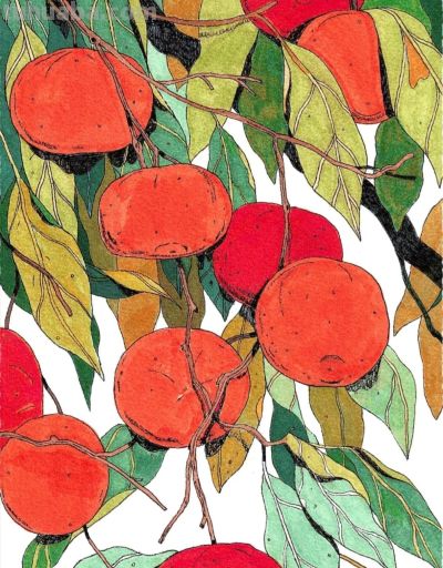 独特的造型，漂亮的色彩，这水果和植物画的太好看啦！ - 图画吧TUHUABA