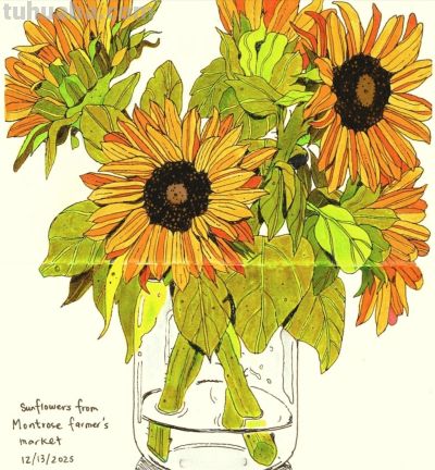 独特的造型，漂亮的色彩，这水果和植物画的太好看啦！ - 图画吧TUHUABA