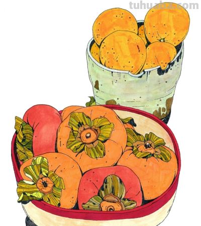 独特的造型，漂亮的色彩，这水果和植物画的太好看啦！ - 图画吧TUHUABA