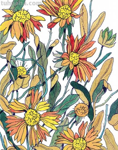 独特的造型，漂亮的色彩，这水果和植物画的太好看啦！ - 图画吧TUHUABA