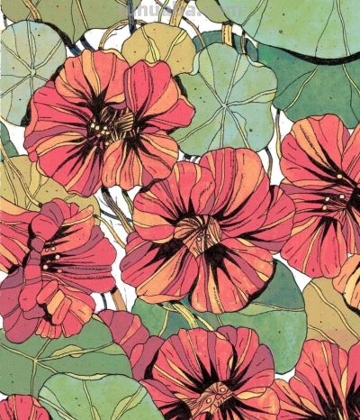 独特的造型，漂亮的色彩，这水果和植物画的太好看啦！ - 图画吧TUHUABA