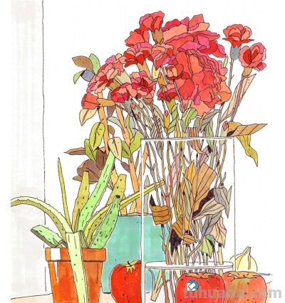 独特的造型，漂亮的色彩，这水果和植物画的太好看啦！ - 图画吧TUHUABA