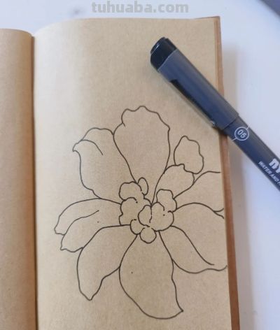 零基础线描，30 分钟完成的手绘花卉，附详细步骤 - 图画吧TUHUABA