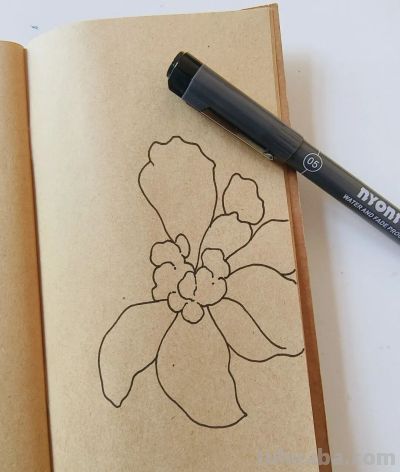 零基础线描，30 分钟完成的手绘花卉，附详细步骤 - 图画吧TUHUABA