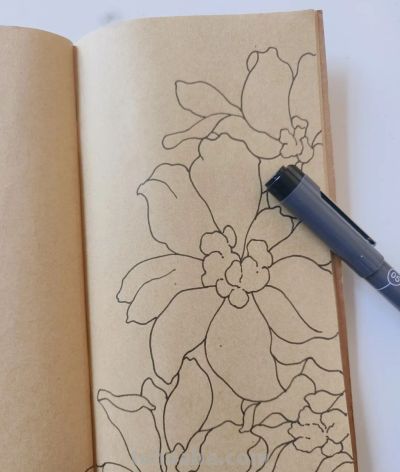 零基础线描，30 分钟完成的手绘花卉，附详细步骤 - 图画吧TUHUABA