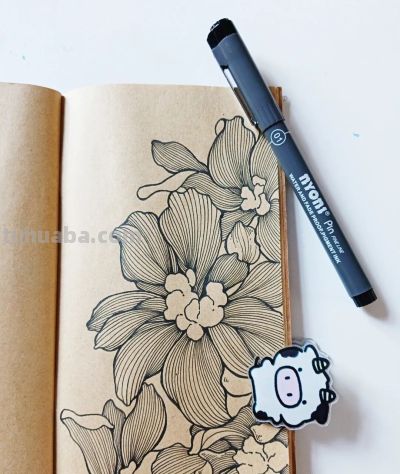 零基础线描，30 分钟完成的手绘花卉，附详细步骤 - 图画吧TUHUABA