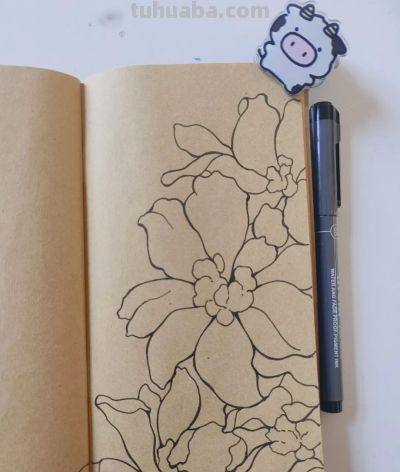 零基础线描，30 分钟完成的手绘花卉，附详细步骤 - 图画吧TUHUABA