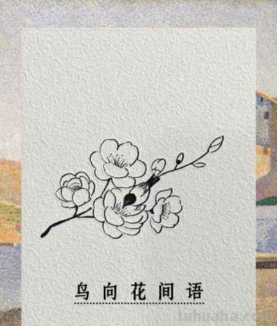 鸟儿轻轻语 花香悄悄听丨鸟向花间语饭饭简笔画分享 - 今日头条