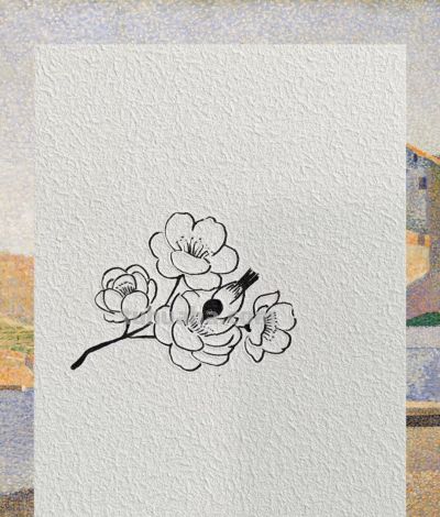 鸟儿轻轻语 花香悄悄听丨鸟向花间语饭饭简笔画分享 - 图画吧TUHUABA