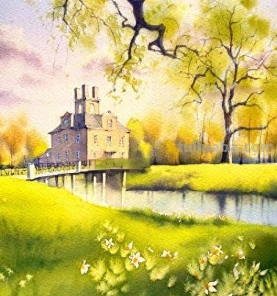 紫藤垂瀑流：宁静致远的水彩插画构想 - 今日头条