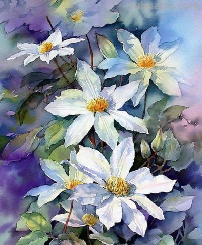 紫藤垂瀑流：宁静致远的水彩插画构想 - 图画吧TUHUABA