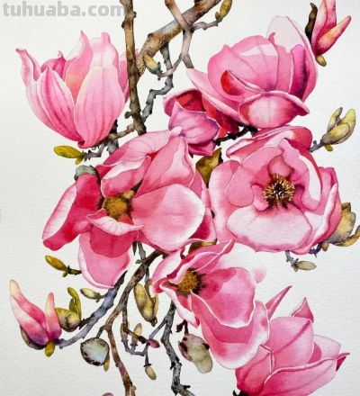 水彩笔下的绘画却美翻一大批人！这强悍技法，深深的看跪了！ - 图画吧TUHUABA