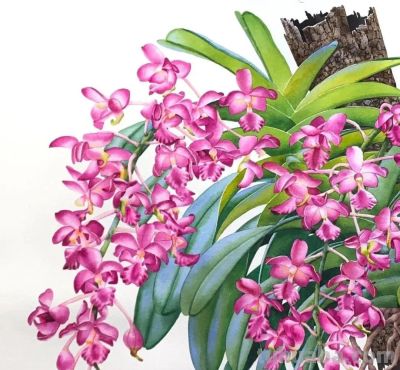 水彩笔下的绘画却美翻一大批人！这强悍技法，深深的看跪了！ - 图画吧TUHUABA