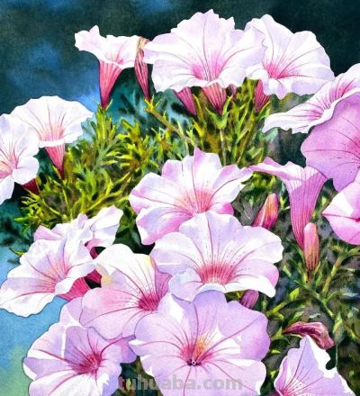 水彩笔下的绘画却美翻一大批人！这强悍技法，深深的看跪了！ - 图画吧TUHUABA