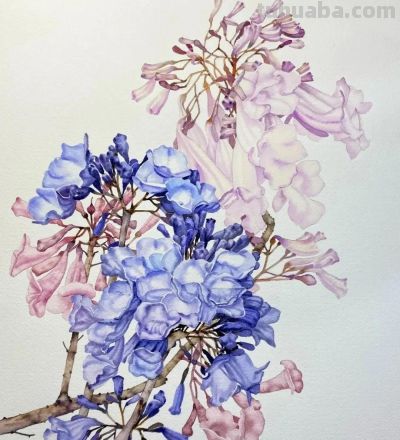 水彩笔下的绘画却美翻一大批人！这强悍技法，深深的看跪了！ - 图画吧TUHUABA