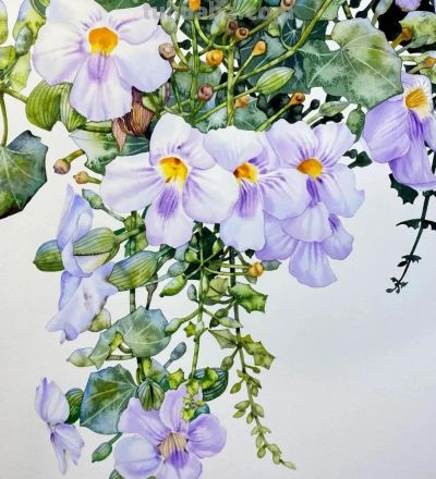 水彩笔下的绘画却美翻一大批人！这强悍技法，深深的看跪了！ - 图画吧TUHUABA