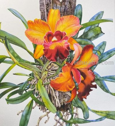 水彩笔下的绘画却美翻一大批人！这强悍技法，深深的看跪了！ - 图画吧TUHUABA