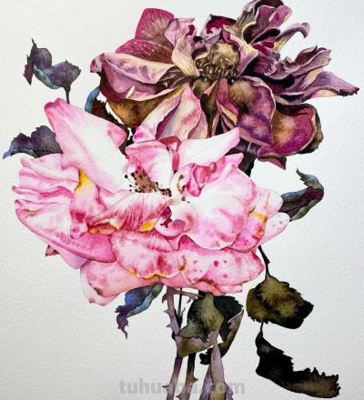 水彩笔下的绘画却美翻一大批人！这强悍技法，深深的看跪了！ - 图画吧TUHUABA