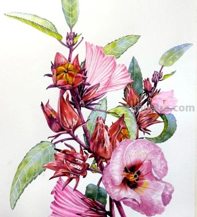 水彩笔下的绘画却美翻一大批人！这强悍技法，深深的看跪了！ - 图画吧TUHUABA