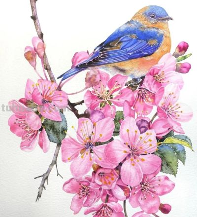 水彩笔下的绘画却美翻一大批人！这强悍技法，深深的看跪了！ - 图画吧TUHUABA