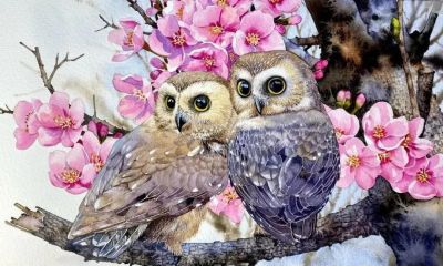 水彩笔下的绘画却美翻一大批人！这强悍技法，深深的看跪了！ - 图画吧TUHUABA