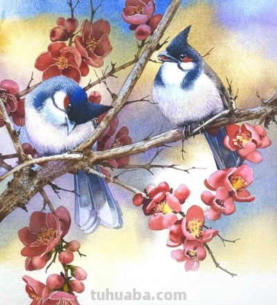 水彩笔下的绘画却美翻一大批人！这强悍技法，深深的看跪了！ - 图画吧TUHUABA