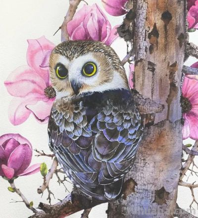 水彩笔下的绘画却美翻一大批人！这强悍技法，深深的看跪了！ - 图画吧TUHUABA