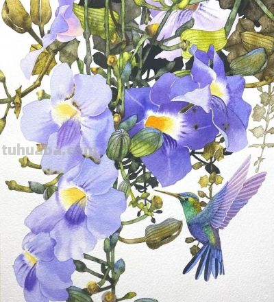 水彩笔下的绘画却美翻一大批人！这强悍技法，深深的看跪了！ - 图画吧TUHUABA