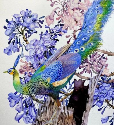 水彩笔下的绘画却美翻一大批人！这强悍技法，深深的看跪了！ - 图画吧TUHUABA