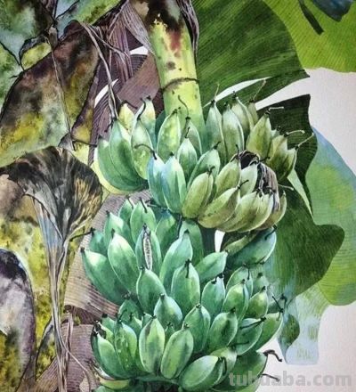 水彩笔下的绘画却美翻一大批人！这强悍技法，深深的看跪了！ - 图画吧TUHUABA