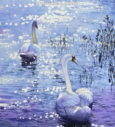 水彩笔下的绘画却美翻一大批人！这强悍技法，深深的看跪了！ - 图画吧TUHUABA