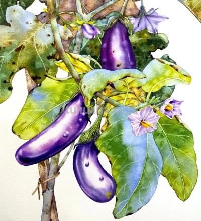 水彩笔下的绘画却美翻一大批人！这强悍技法，深深的看跪了！ - 图画吧TUHUABA