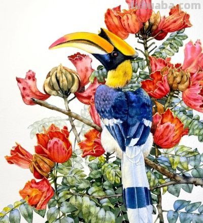 水彩笔下的绘画却美翻一大批人！这强悍技法，深深的看跪了！ - 图画吧TUHUABA