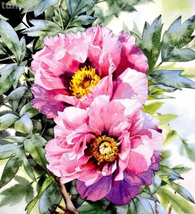 水彩笔下的绘画却美翻一大批人！这强悍技法，深深的看跪了！ - 图画吧TUHUABA