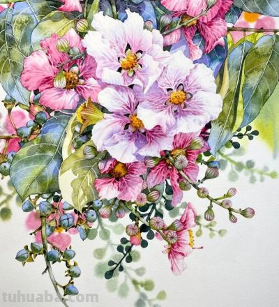 水彩笔下的绘画却美翻一大批人！这强悍技法，深深的看跪了！ - 图画吧TUHUABA