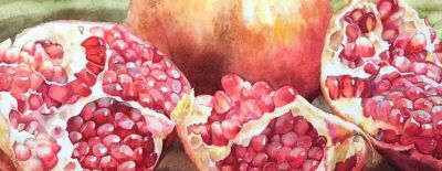 用水彩画石榴，竟然这么好看！（附详细小教程） - 图画吧TUHUABA