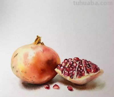 用水彩画石榴，竟然这么好看！（附详细小教程） - 图画吧TUHUABA