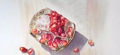 用水彩画石榴，竟然这么好看！（附详细小教程） - 图画吧TUHUABA