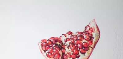 用水彩画石榴，竟然这么好看！（附详细小教程） - 图画吧TUHUABA