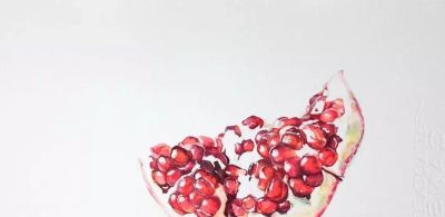 用水彩画石榴，竟然这么好看！（附详细小教程） - 图画吧TUHUABA