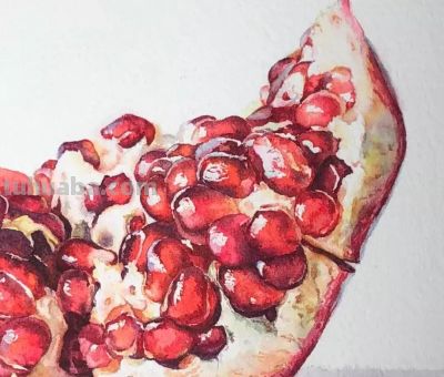 用水彩画石榴，竟然这么好看！（附详细小教程） - 图画吧TUHUABA