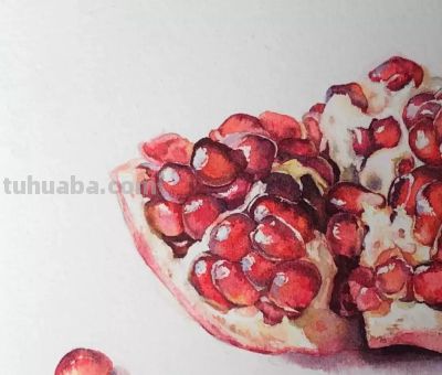 用水彩画石榴，竟然这么好看！（附详细小教程） - 图画吧TUHUABA