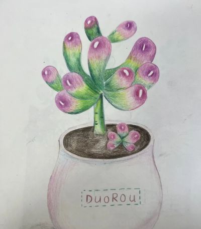 “瑜”画有约||学生个人微画展 - 图画吧TUHUABA