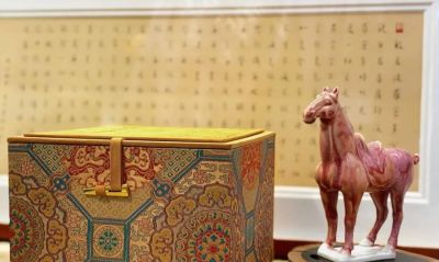 这些小马太耐人了！天津多家博物馆上新！ - 图画吧TUHUABA