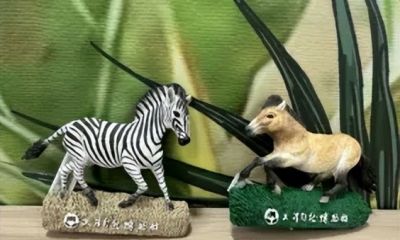 这些小马太耐人了！天津多家博物馆上新！ - 图画吧TUHUABA