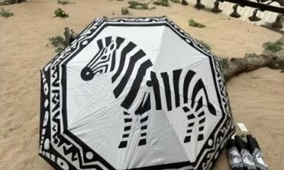 这些小马太耐人了！天津多家博物馆上新！ - 图画吧TUHUABA