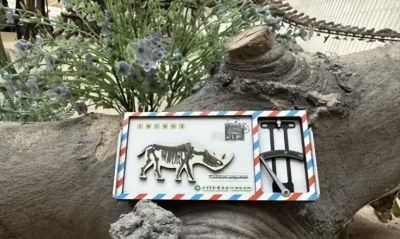 这些小马太耐人了！天津多家博物馆上新！ - 图画吧TUHUABA